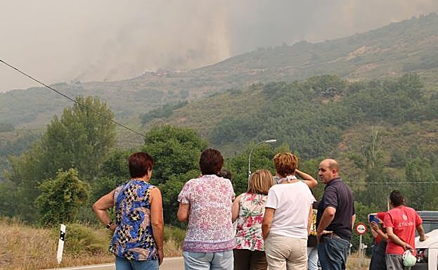 Los alcaldes de la zona piden 'trabajo local' en la reforestación.