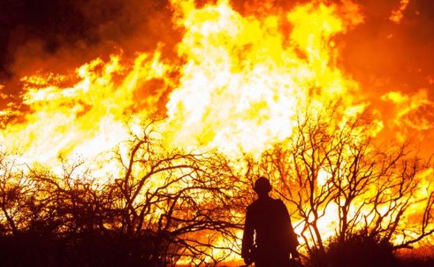 Imagen de un incendio forestal.