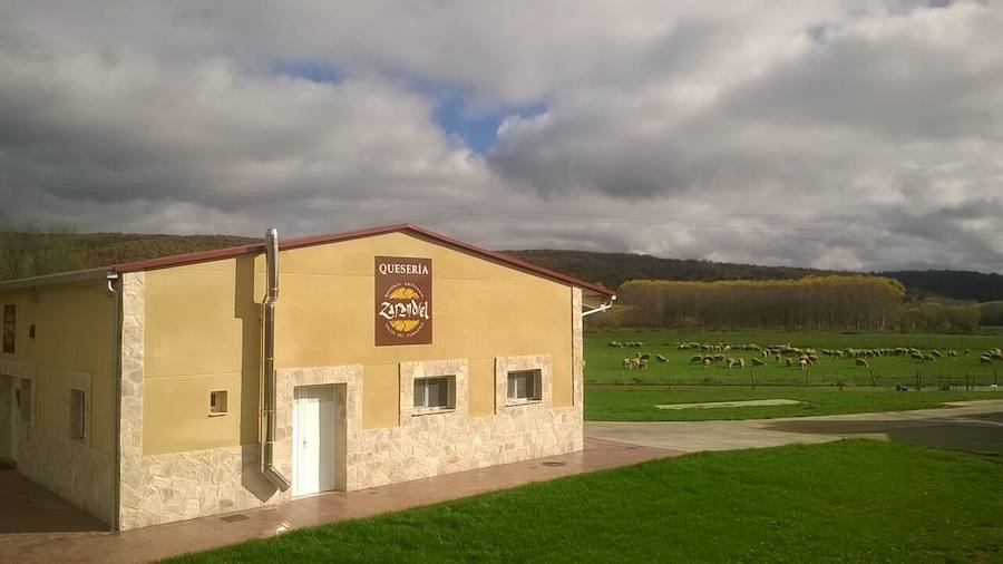 Zarandiel: innovación en la leche de oveja