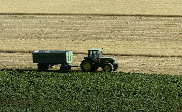 Un tractor trabaja el campo.