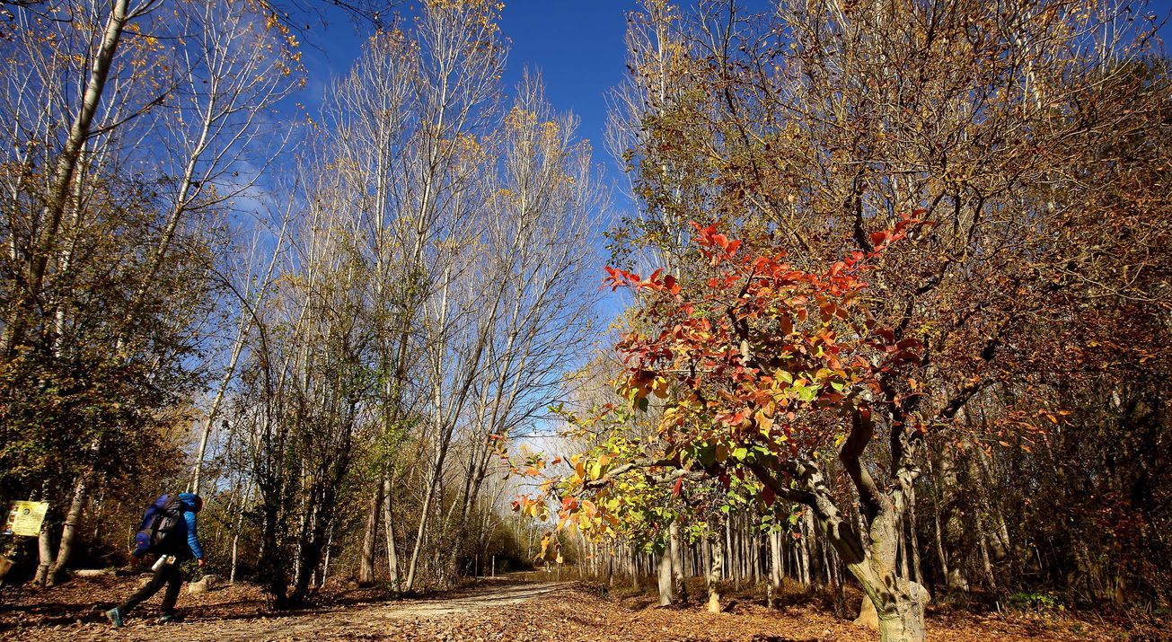 El Otoño llena de color El Bierzo.