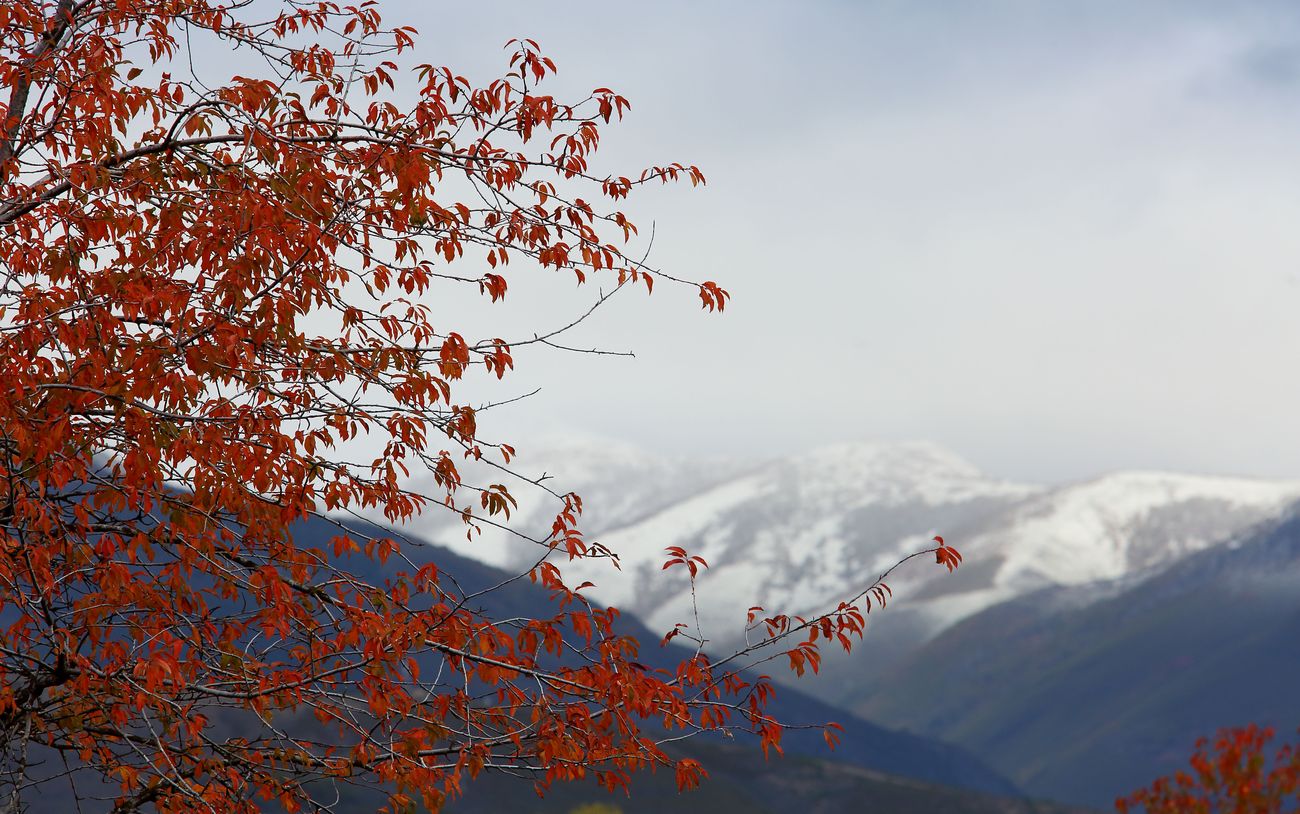 El Otoño llena de color El Bierzo.