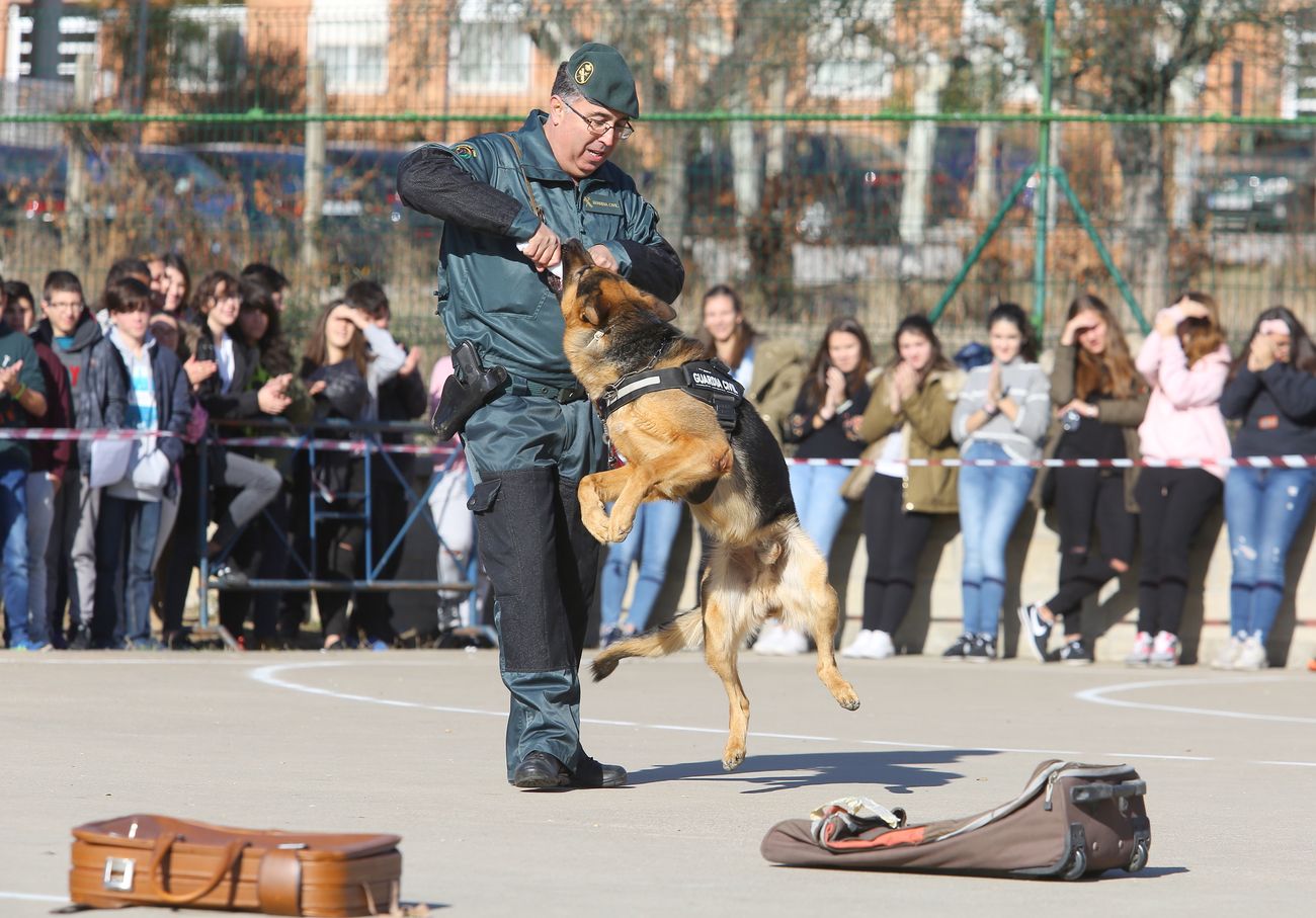 Exhibición de las Fuerzas y Cuerpos de seguridad del Estado en el IES Álvaro Yáñez de Bembibre, durante la presentación del plan director para la convivencia y mejora de la seguridad en los centros educativos y sus entornos