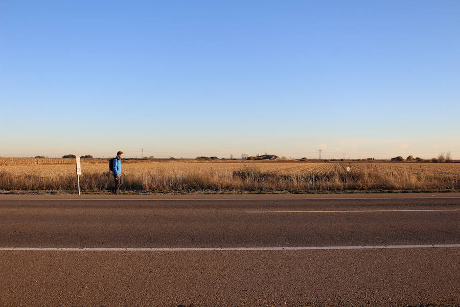 León en el Camino, en imágenes