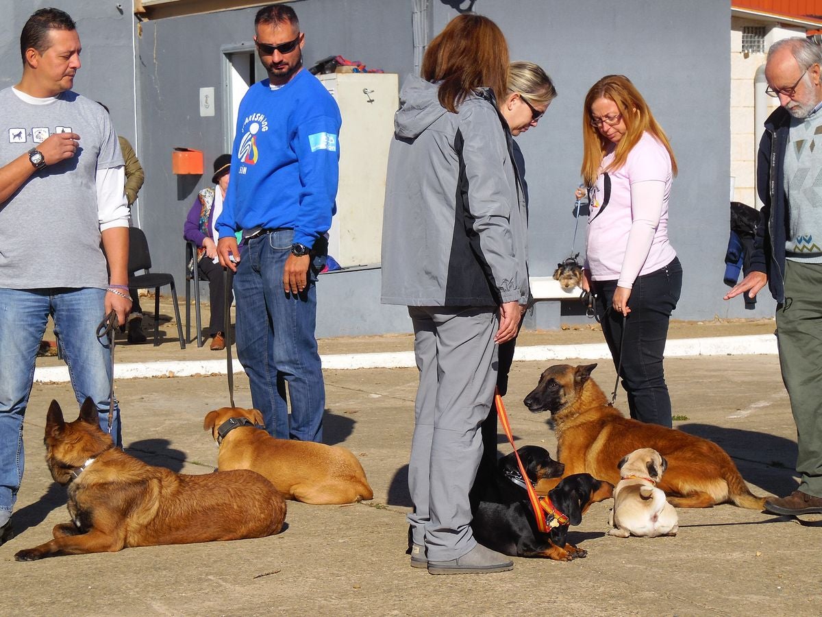 Educando desde el cariño, en Spanish Dog