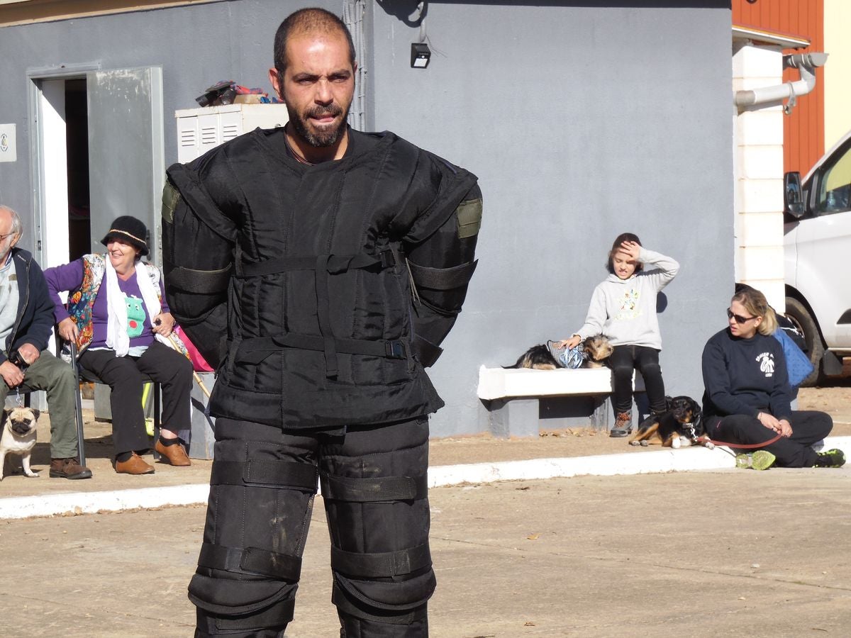 Educando desde el cariño, en Spanish Dog