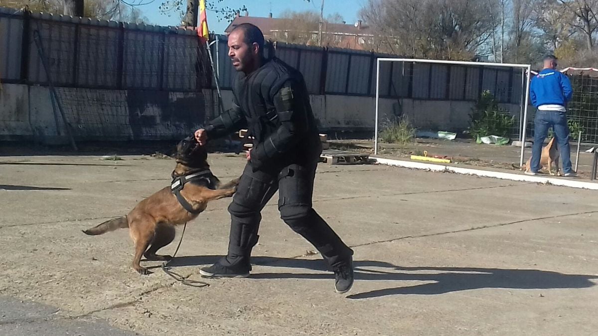 Educando desde el cariño, en Spanish Dog