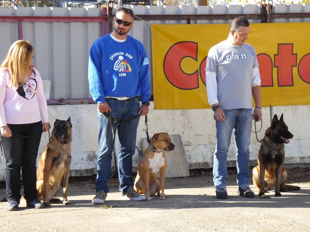 Educando desde el cariño, en Spanish Dog