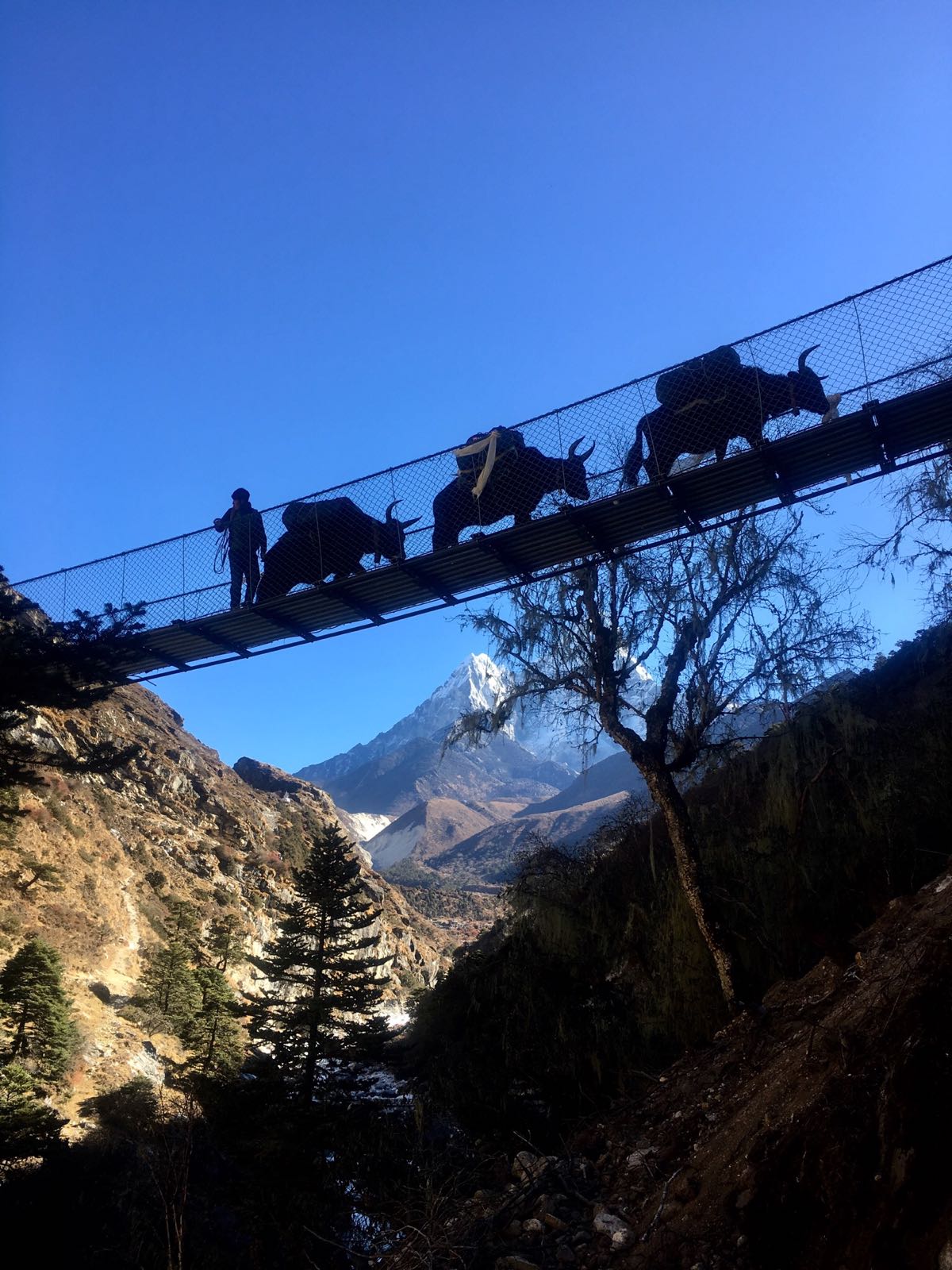 Trekking solidario desde Toreno hasta el Himalaya