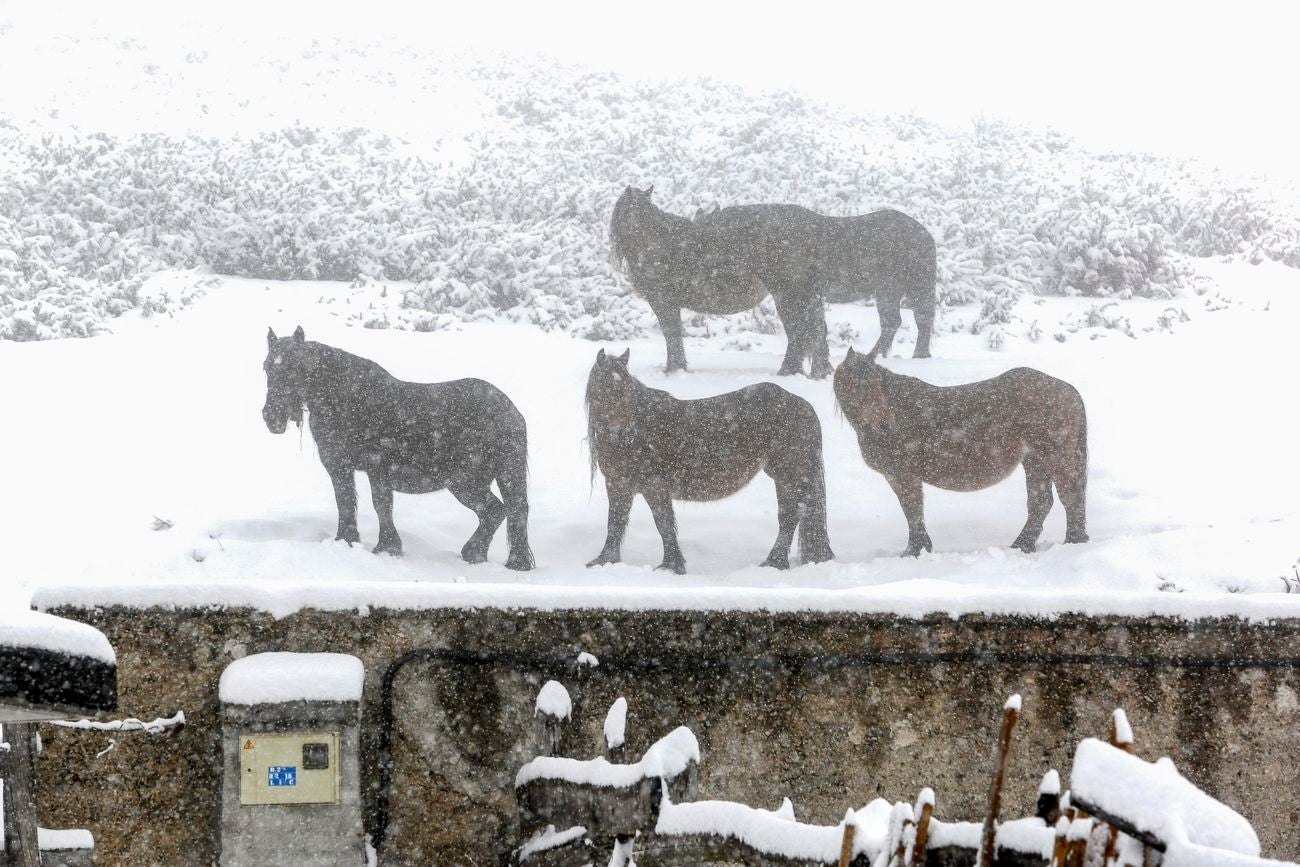 La provincia entra en alerta naranja por nevadas en las próximas 48 horas | La cota de nieve desciende hasta los 700 metros | La zona norte será la más afectada por la adversa climatología