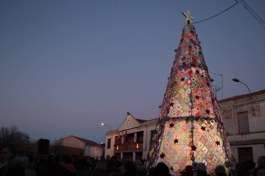 Un árbol de récord en Villoria de Órbigo