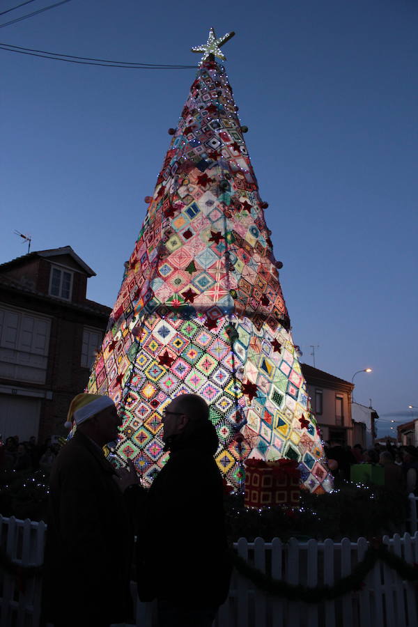 Un árbol de récord en Villoria de Órbigo