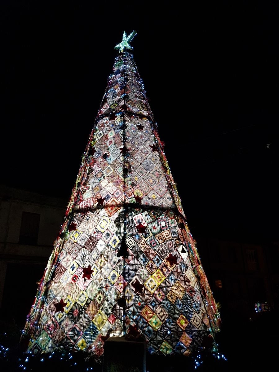 Un árbol de récord en Villoria de Órbigo