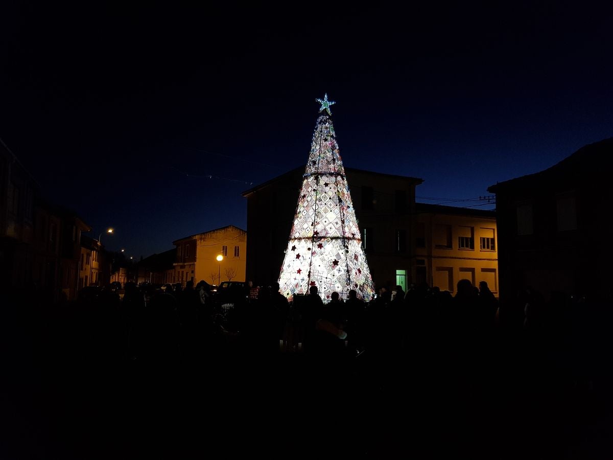 Un árbol de récord en Villoria de Órbigo