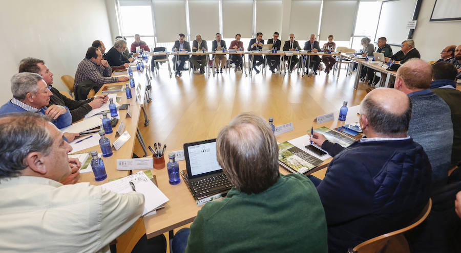 Reunión del Patronato de Picos de Europa