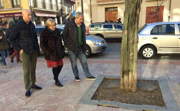 El PSOE pide la colocación y reparación de los alcorques deteriorados en los barrios de la capital