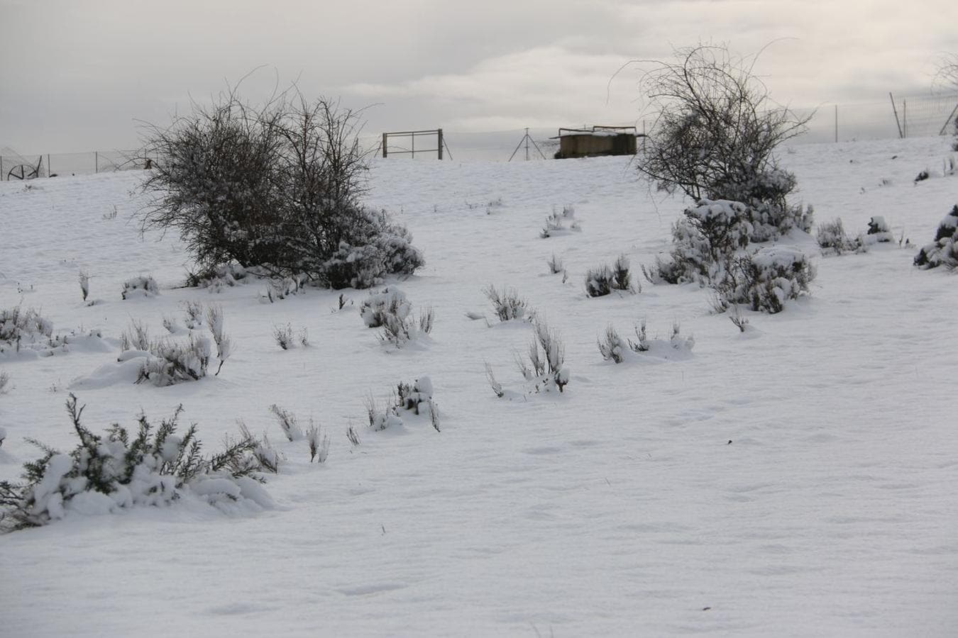 La nieve se hace notar en el alfoz