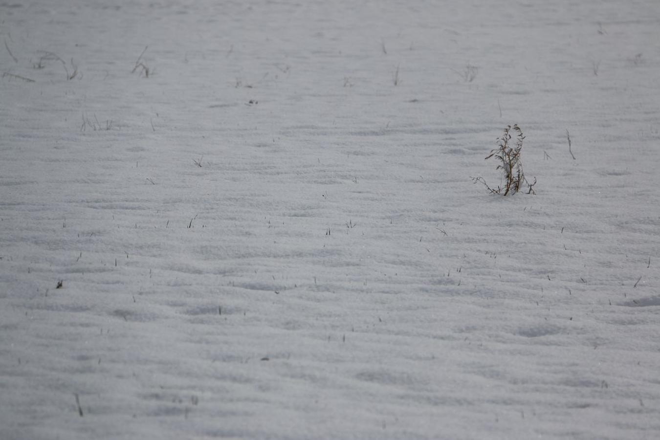 La nieve se hace notar en el alfoz