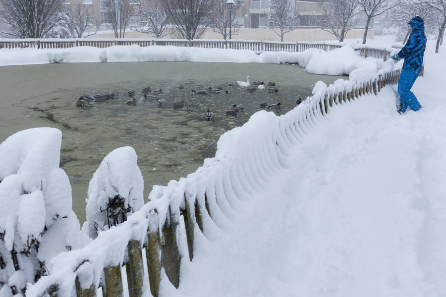 Nieve en Ávila