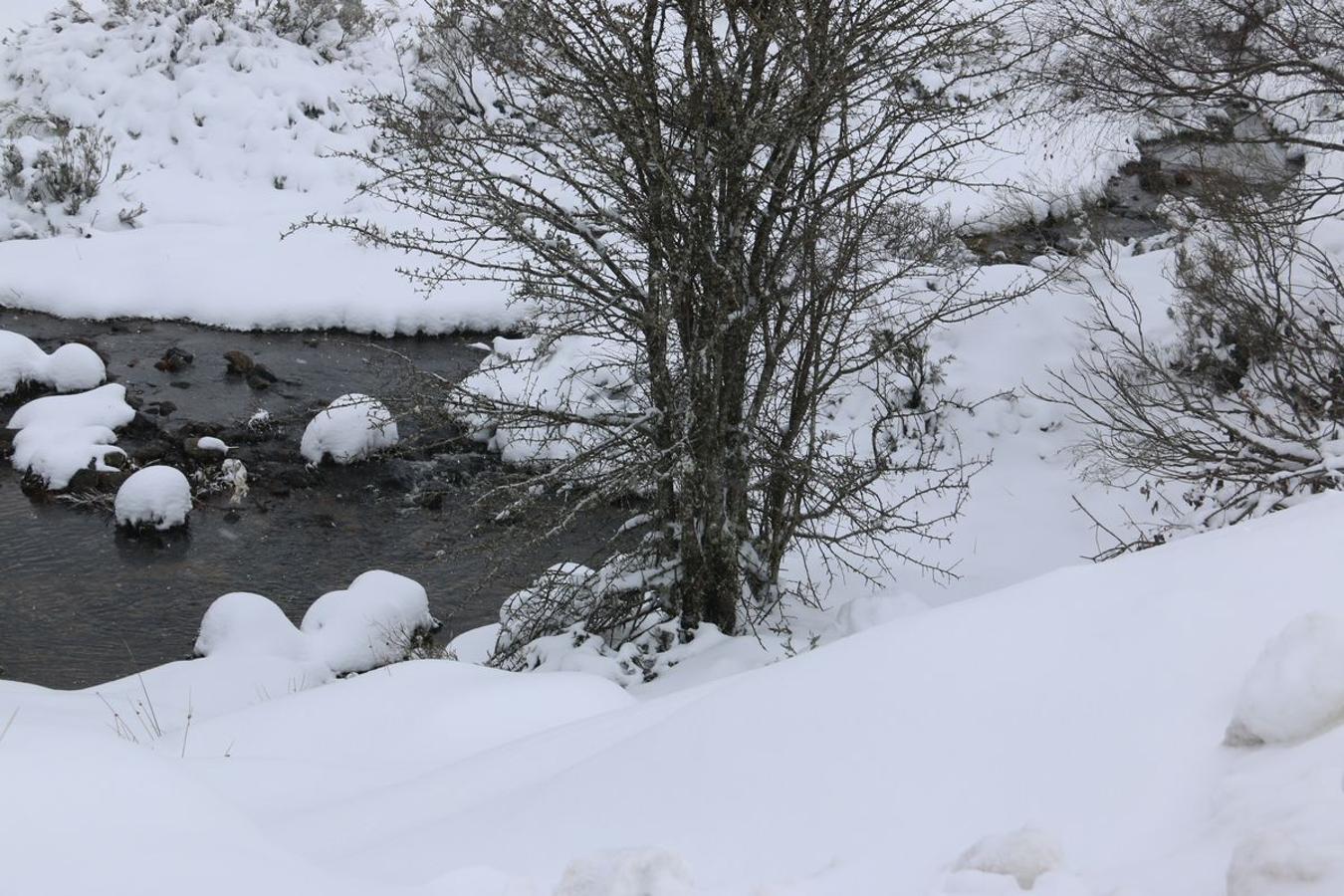 El hielo, la nieve y la ventisca, protagonistas en Pajares