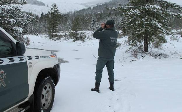 Un agente de la Guardia Civil, durante la búsqueda. 