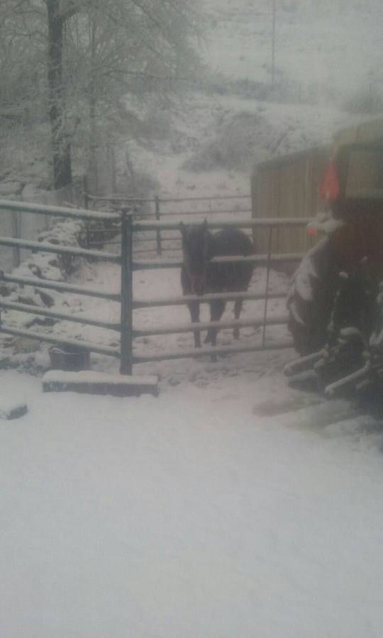 Nieva en la provincia