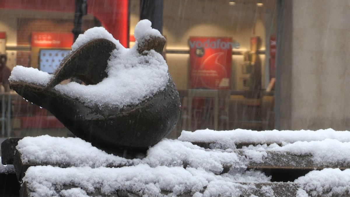 Las imágenes de la nieve en León capital