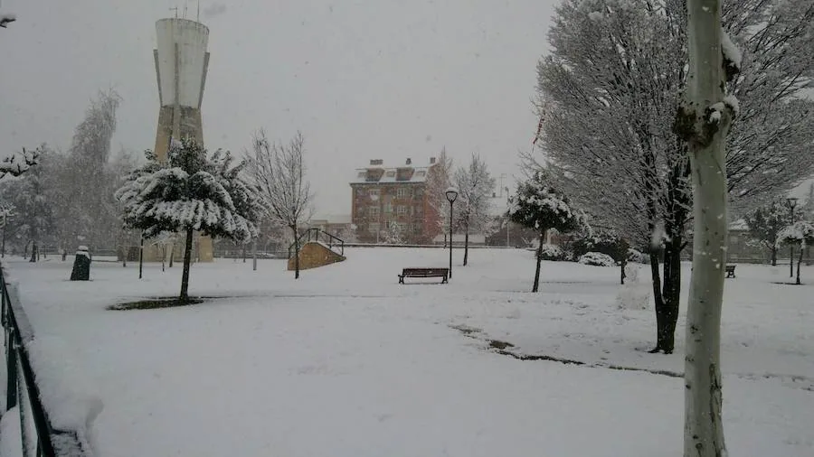 La nieve reina en la provincia