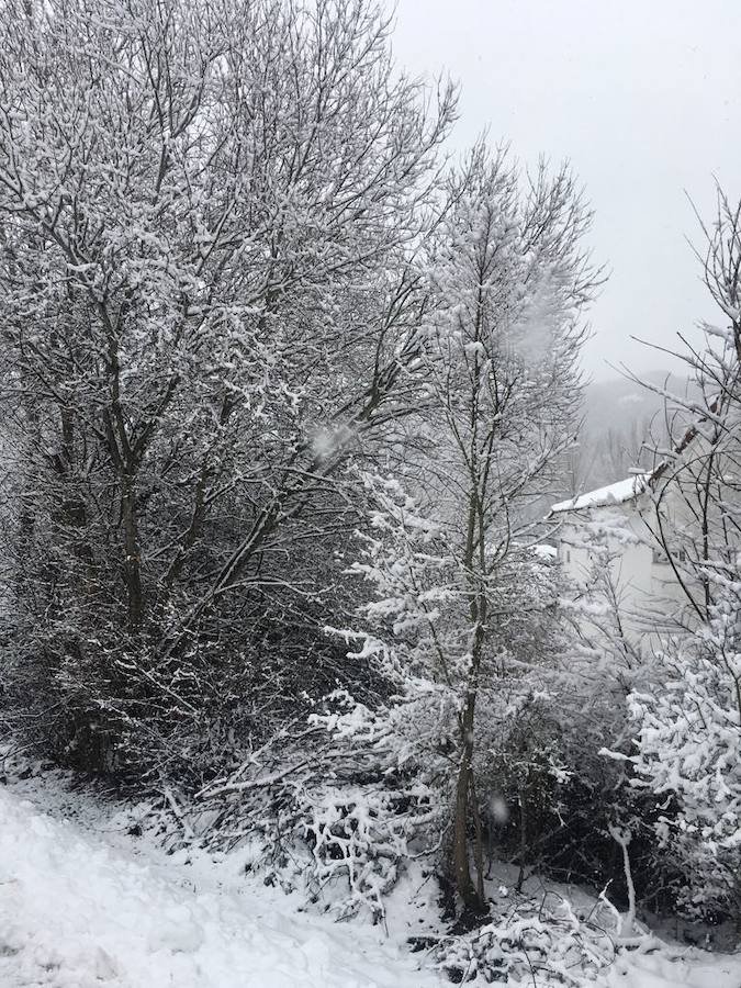 La nieve reina en la provincia