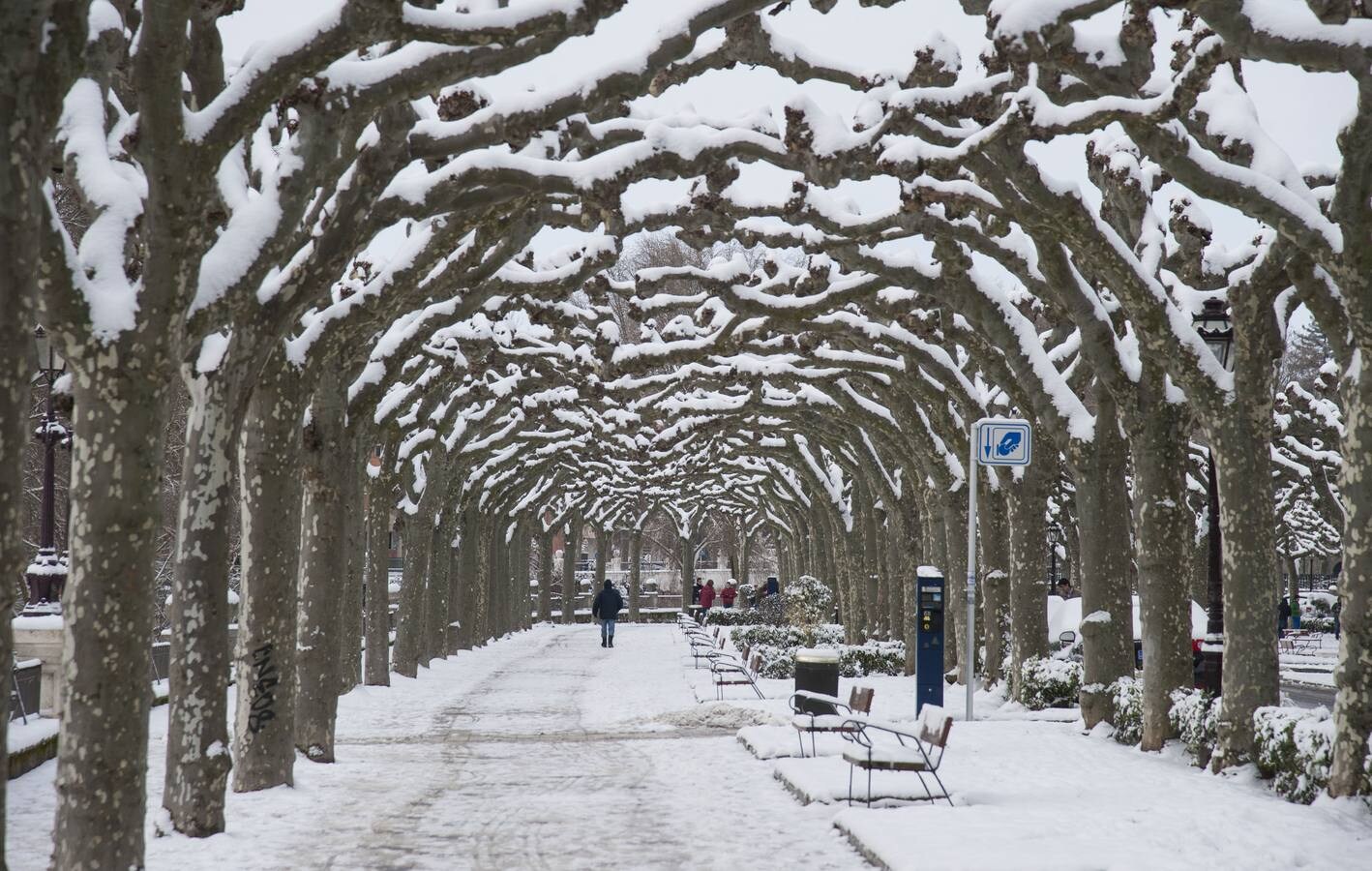 El Paseo del Espolón en Burgos cubierto de nieve