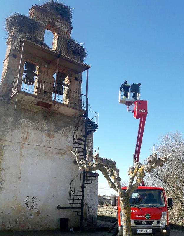 Imagen del momento en el que se recupera las cigüeñas.