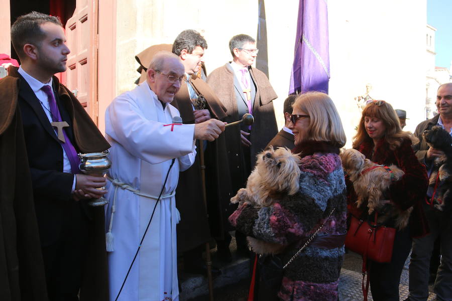 La bendición de San Antón