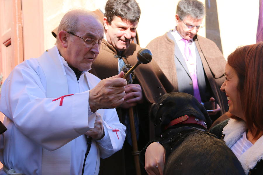 La bendición de San Antón