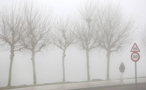 Galería. Niebla en León capital. 