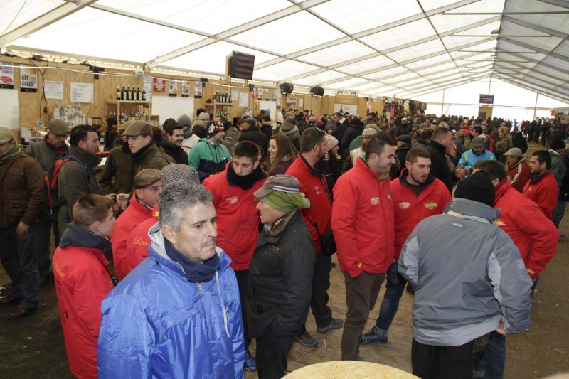 Ambiente en la carrera de galgos de este sábado en Madrigal de las Altas Torres, durante los cuartos de final del Campeonato Nacional