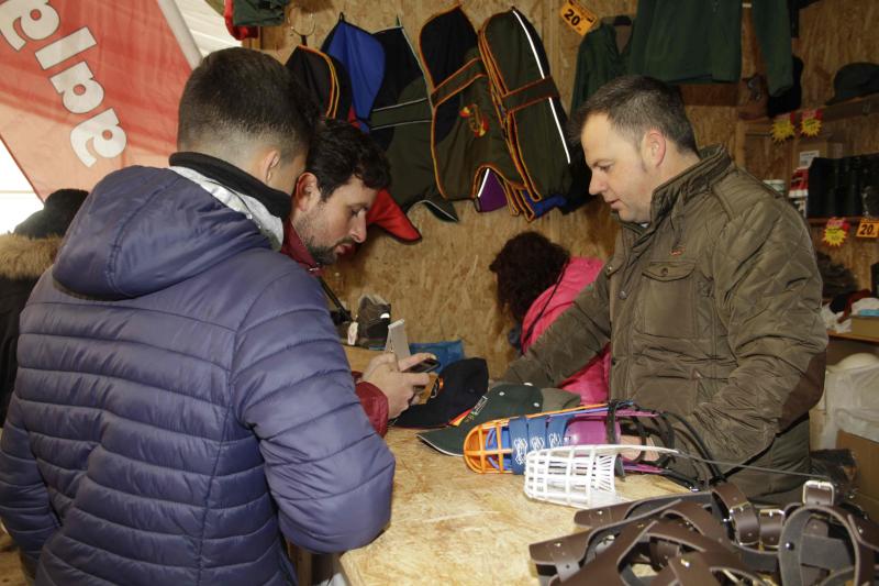 Ambiente en la carrera de galgos de este sábado en Madrigal de las Altas Torres, durante los cuartos de final del Campeonato Nacional