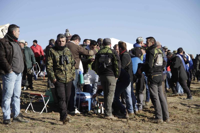 Ambiente en la carrera de galgos de este sábado en Madrigal de las Altas Torres, durante los cuartos de final del Campeonato Nacional