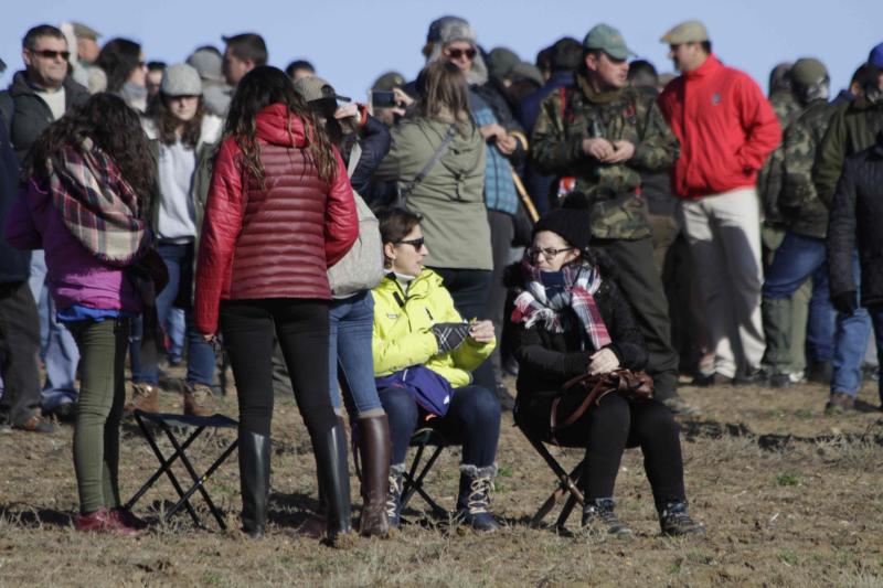 Ambiente en la carrera de galgos de este sábado en Madrigal de las Altas Torres, durante los cuartos de final del Campeonato Nacional