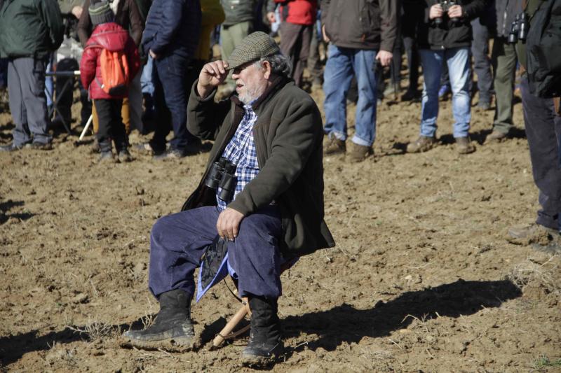 Ambiente en la carrera de galgos de este sábado en Madrigal de las Altas Torres, durante los cuartos de final del Campeonato Nacional