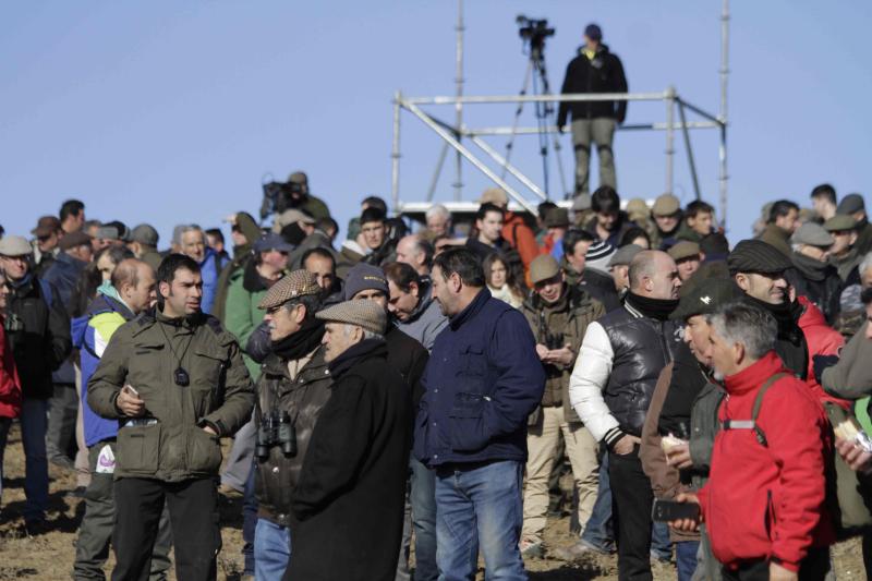 Ambiente en la carrera de galgos de este sábado en Madrigal de las Altas Torres, durante los cuartos de final del Campeonato Nacional