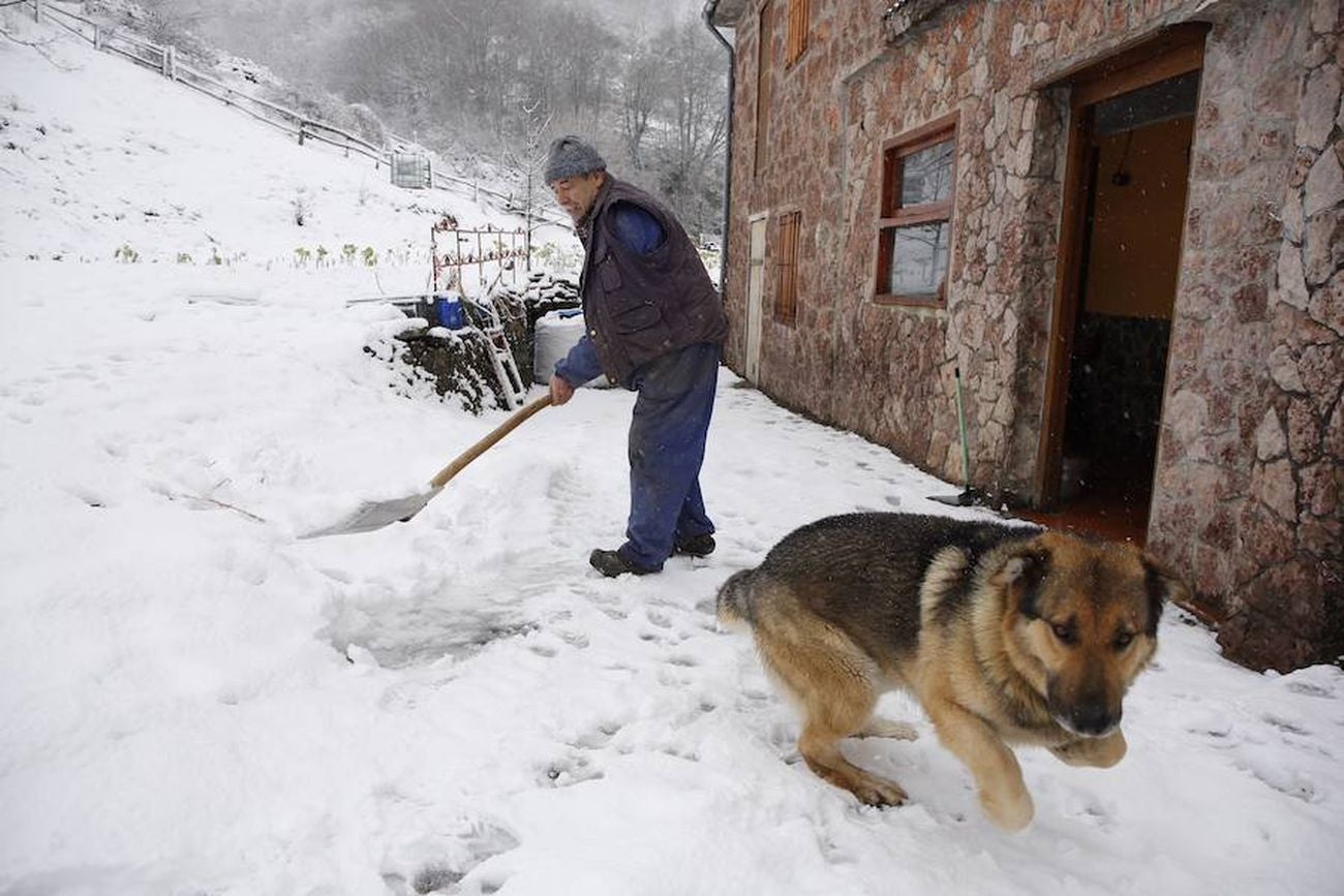 La nieve llega a la zona norte de la provincia de León. El temporal se mantendrá a lo largo de las próximas horas