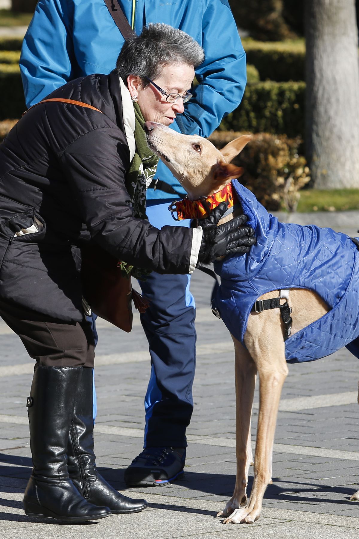 Protesta en rechazo a la cazería con perros