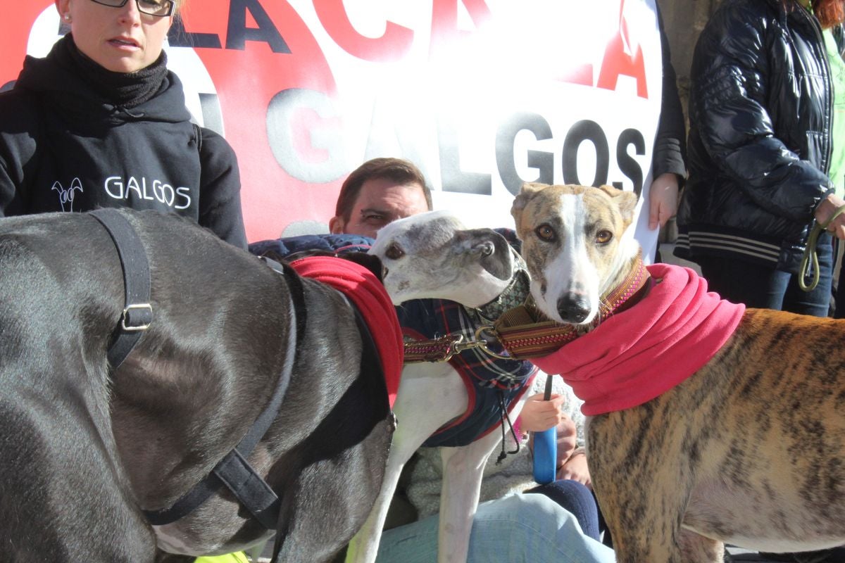 Protesta en rechazo a la cazería con perros