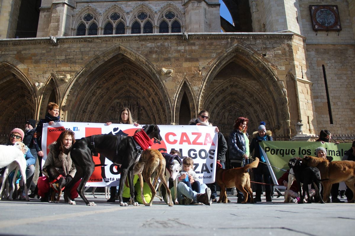 Protesta en rechazo a la cazería con perros