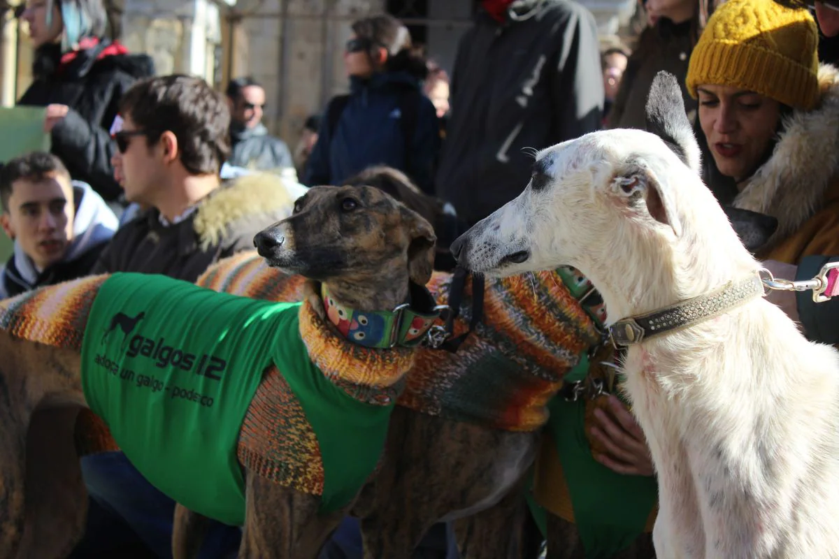 Protesta en rechazo a la cazería con perros