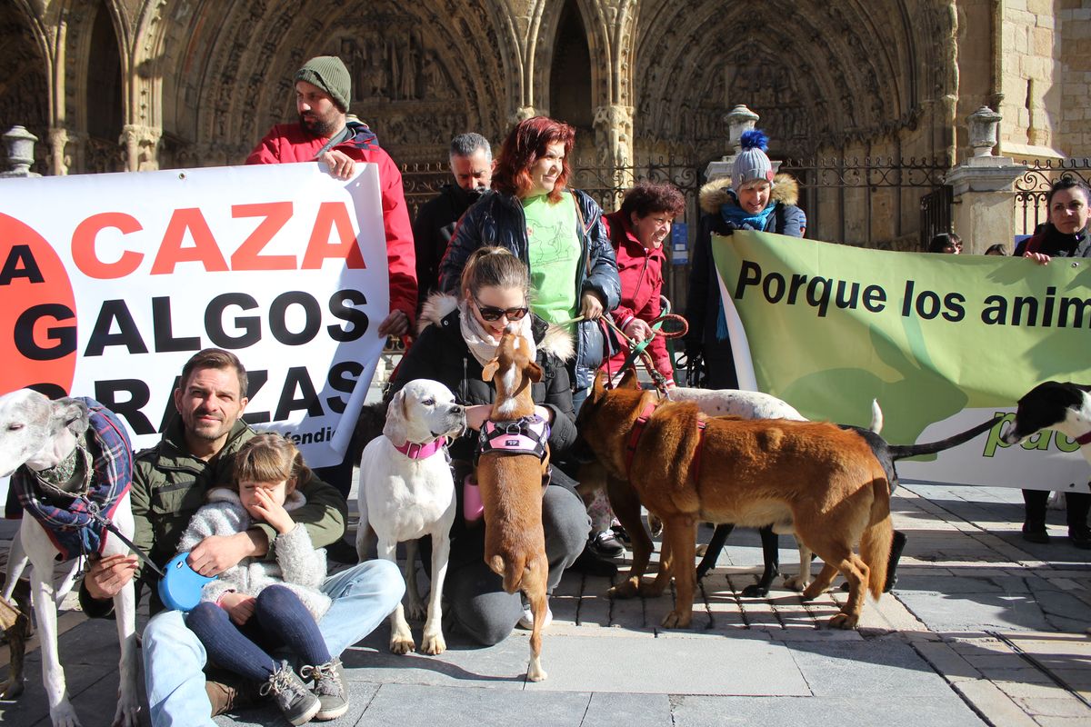 Protesta en rechazo a la cazería con perros