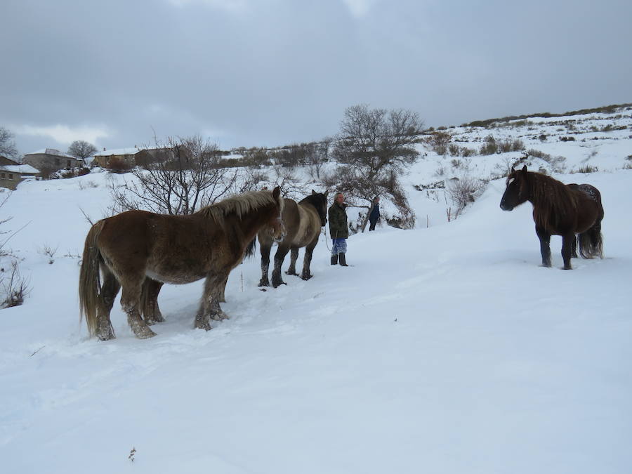 Rescate en la nieve