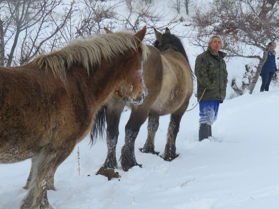 Rescate en la nieve