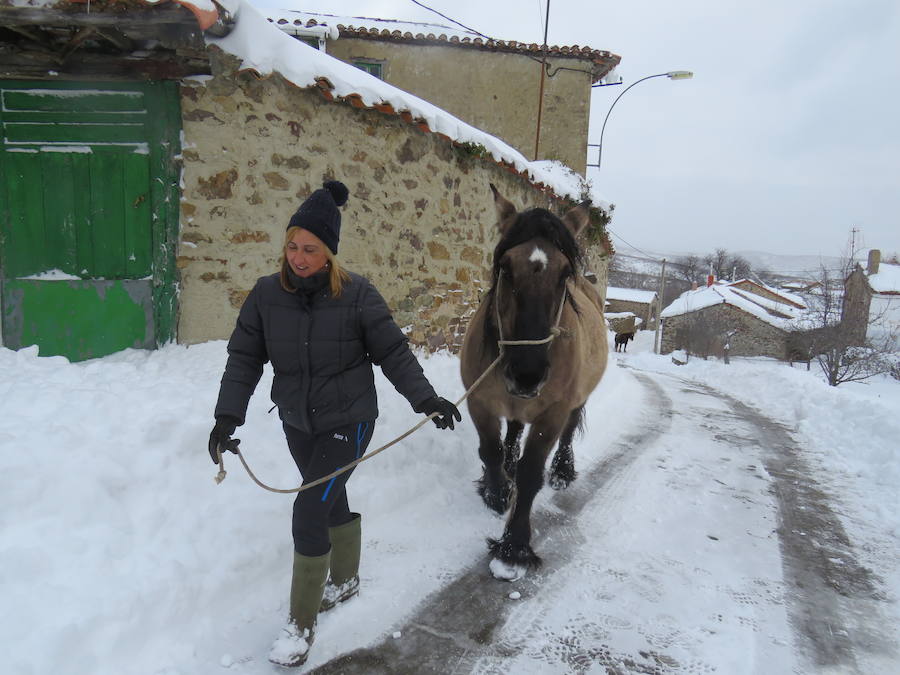 Rescate en la nieve