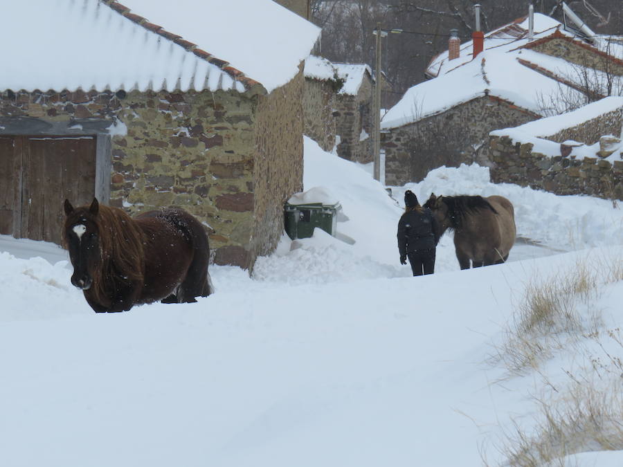 Rescate en la nieve